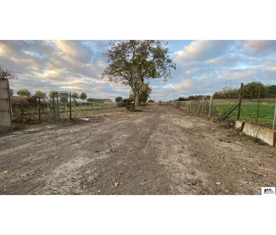 Corps de ferme MAZINGHEM (62120) SARL LES HAUTS DE FRANCE immobilier